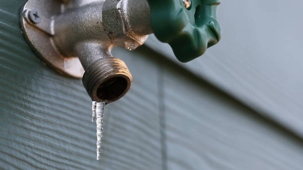 Best Commercial Plumbing Services  in North Apollo, PA